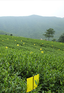 騏驥一躍，不能十步。馭馬十駕，功在不舍。新錦安公司一定會堅定不移的為祖國的交通事業添磚加瓦，并歡迎社會各界精英，蒞臨參觀指導！